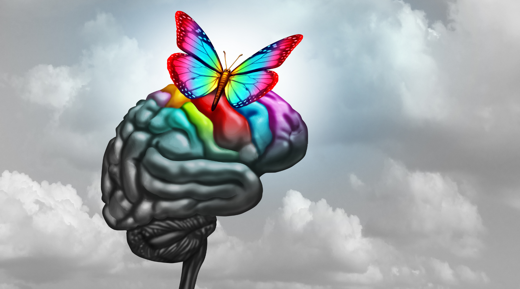 What Having a Brain Tumor Has Taught Me: