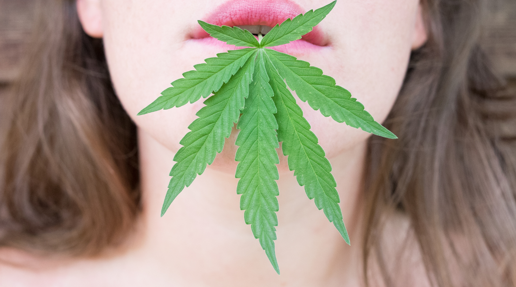 Pro Tip: Eat Edibles, Have Your Best Sales Day Ever!