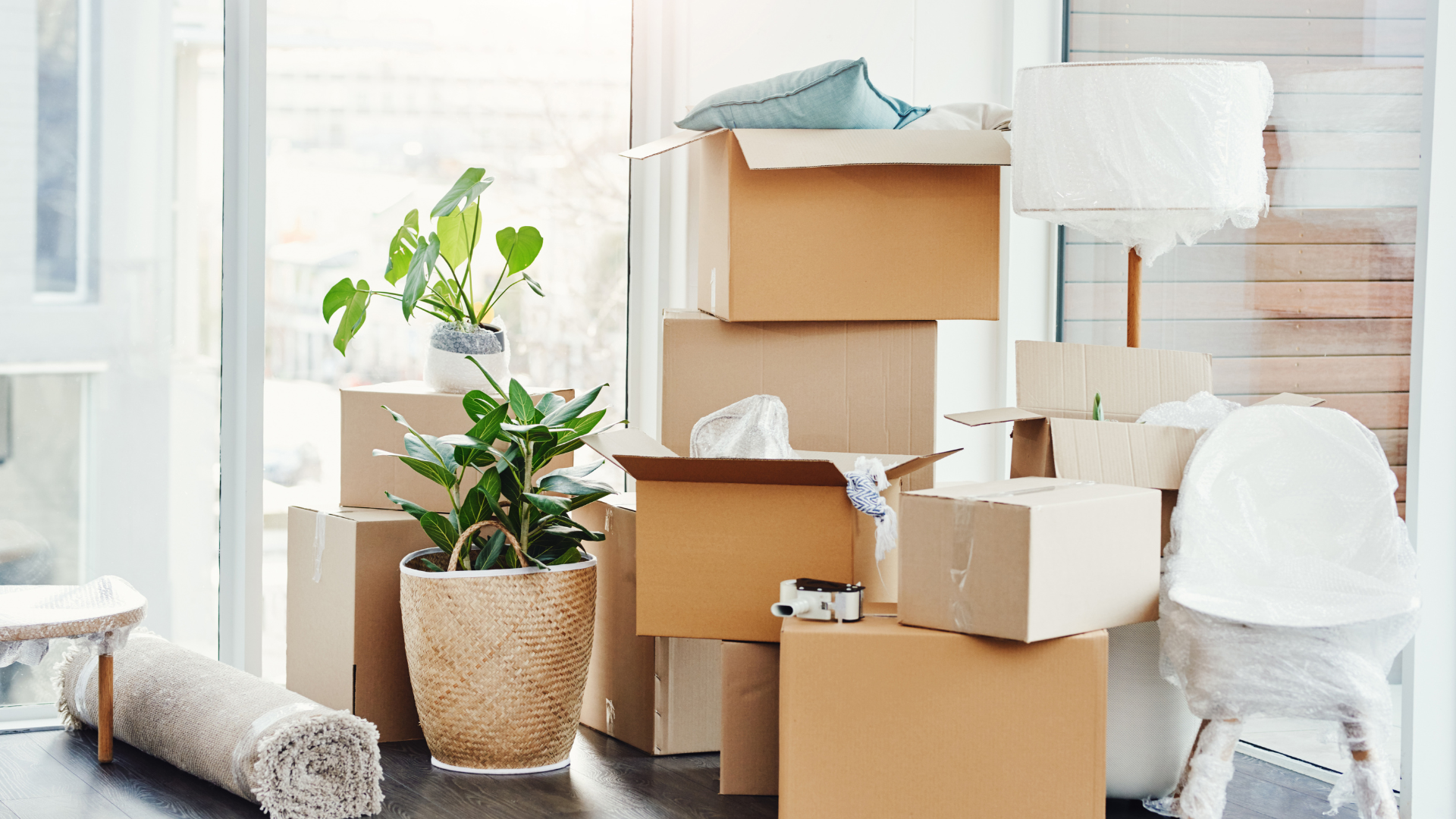 Living in 4 States in 7 Years: What I Learned