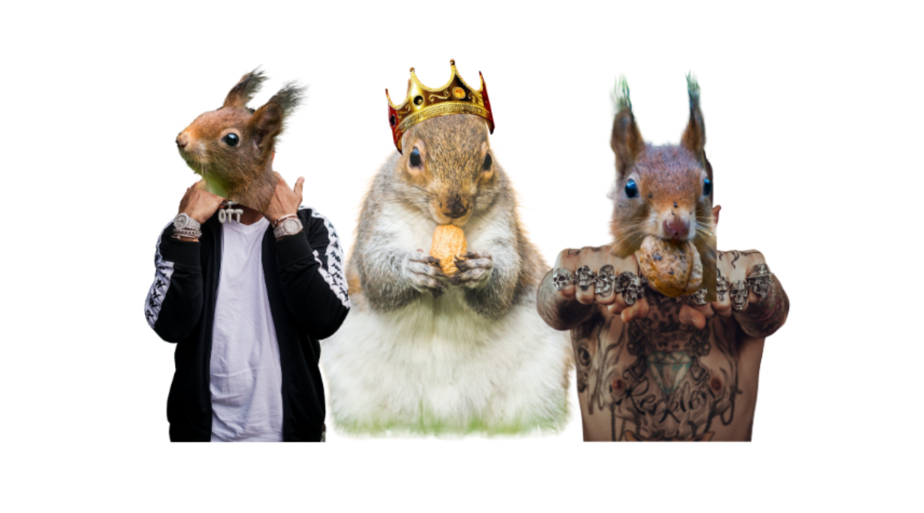 Michigan Squirrels Ain’t Nothin’ to Mess With