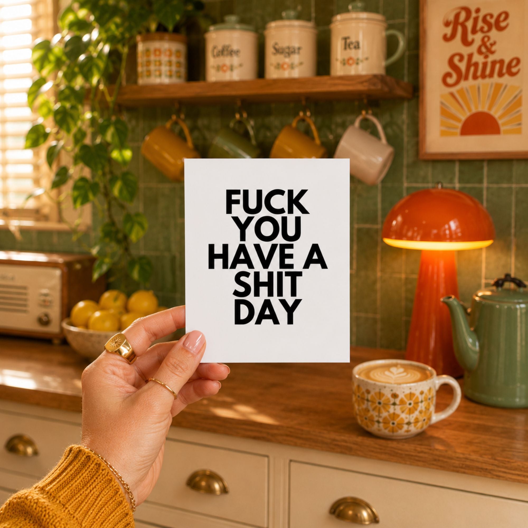 Funny Rude Birthday Card — Fuck You Have a Shit Day A2 Card