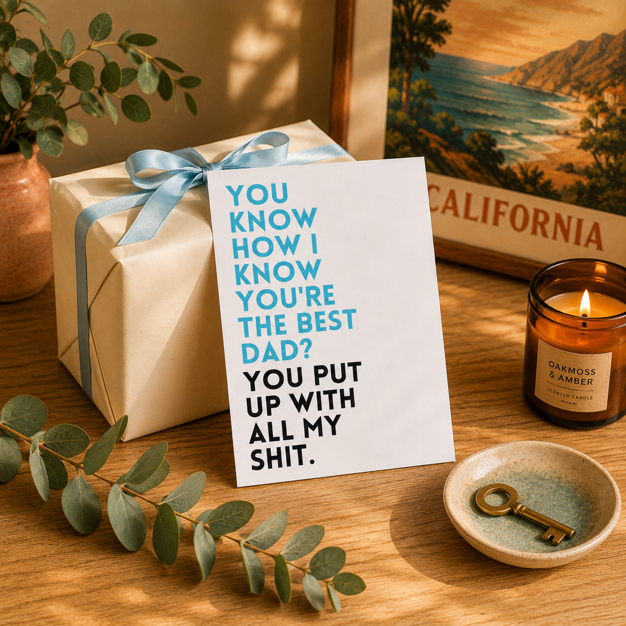 Funny Father's Day Card for Dad — You Put Up With All My Shit A2 Card
