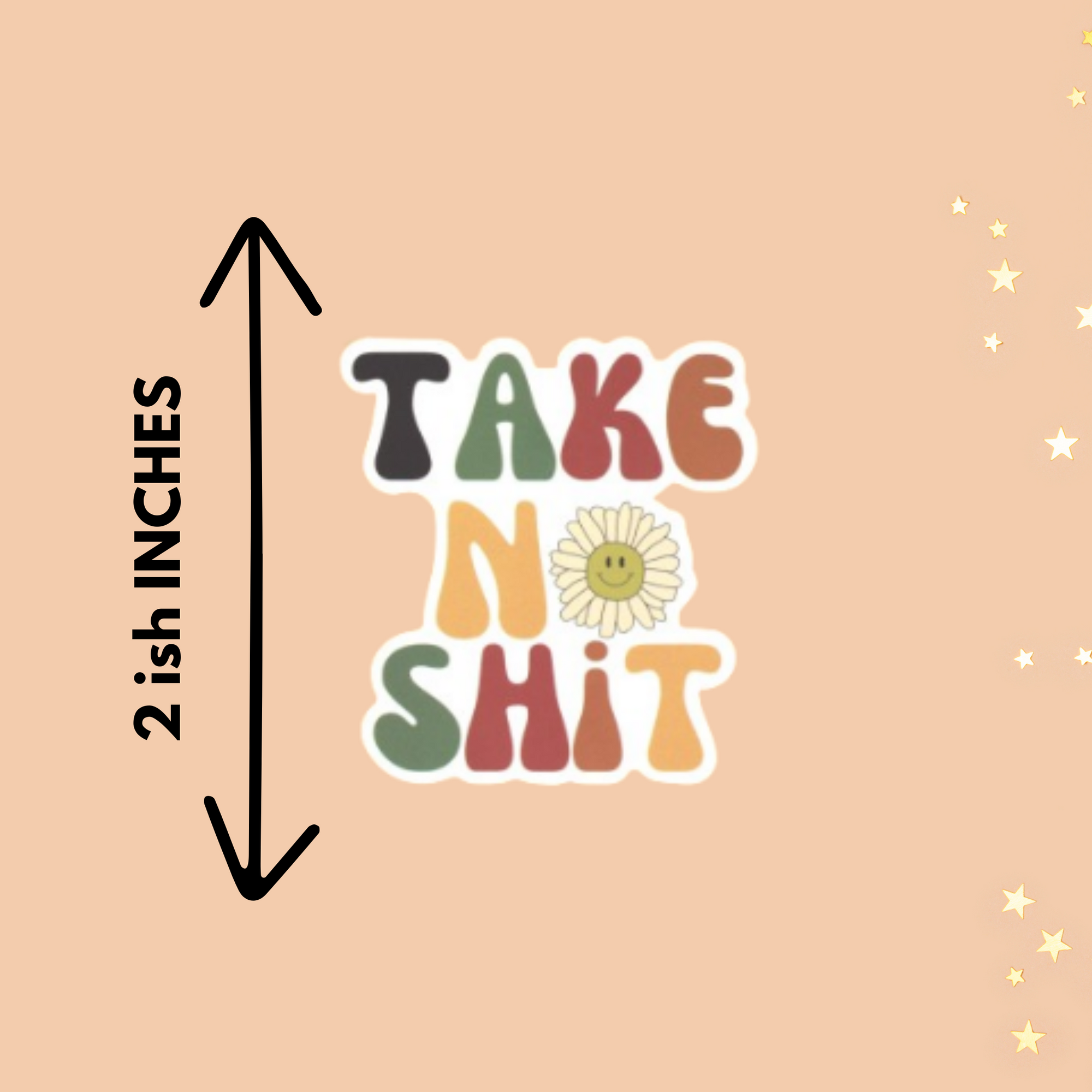 Take No Shit Shit Sticker
