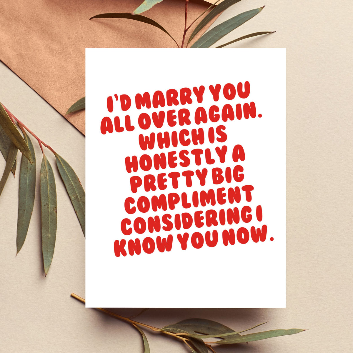 I'd Marry You All Over Again Funny Anniversary Card
