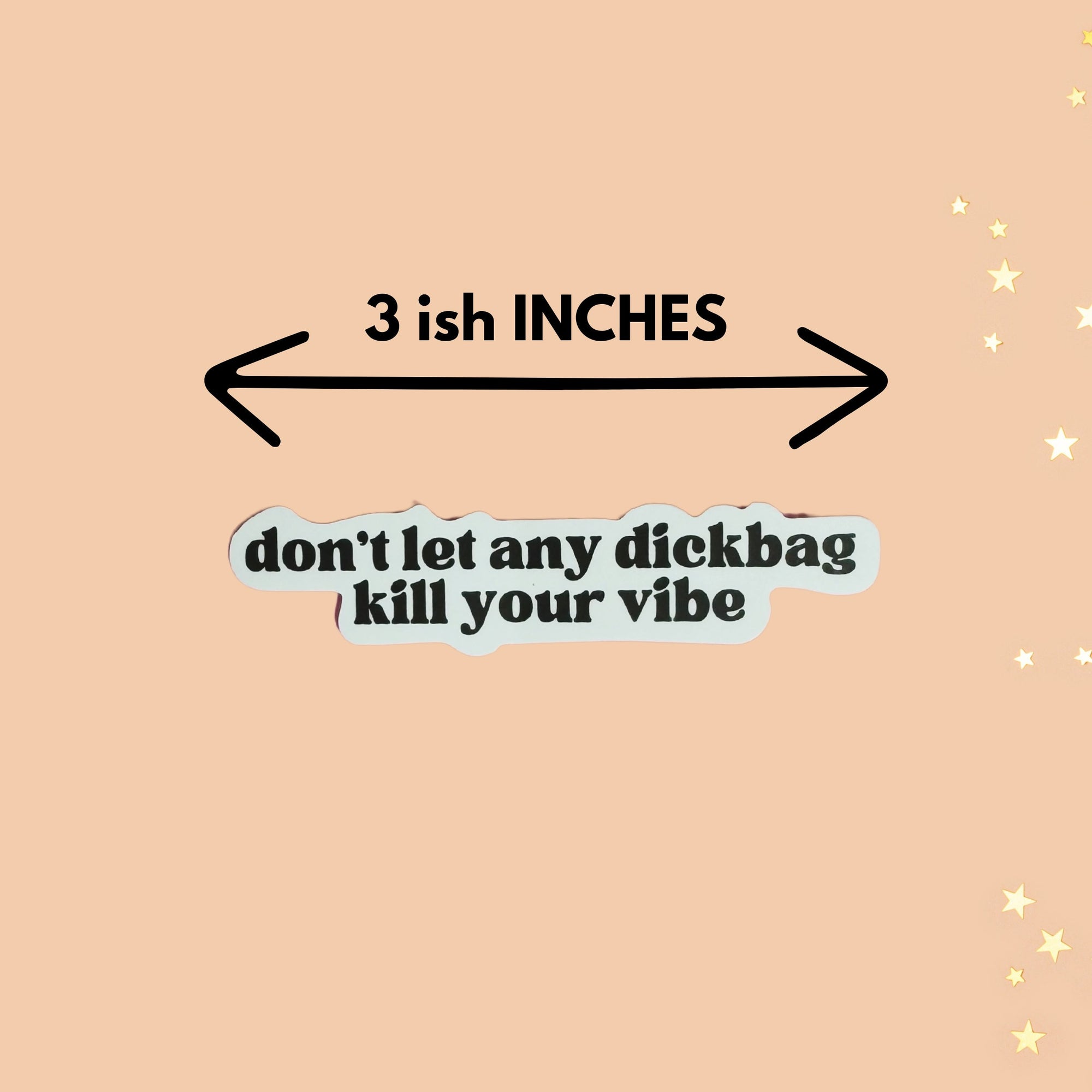 Don't Let Any Dickbag Kill Your Vibe Sticker