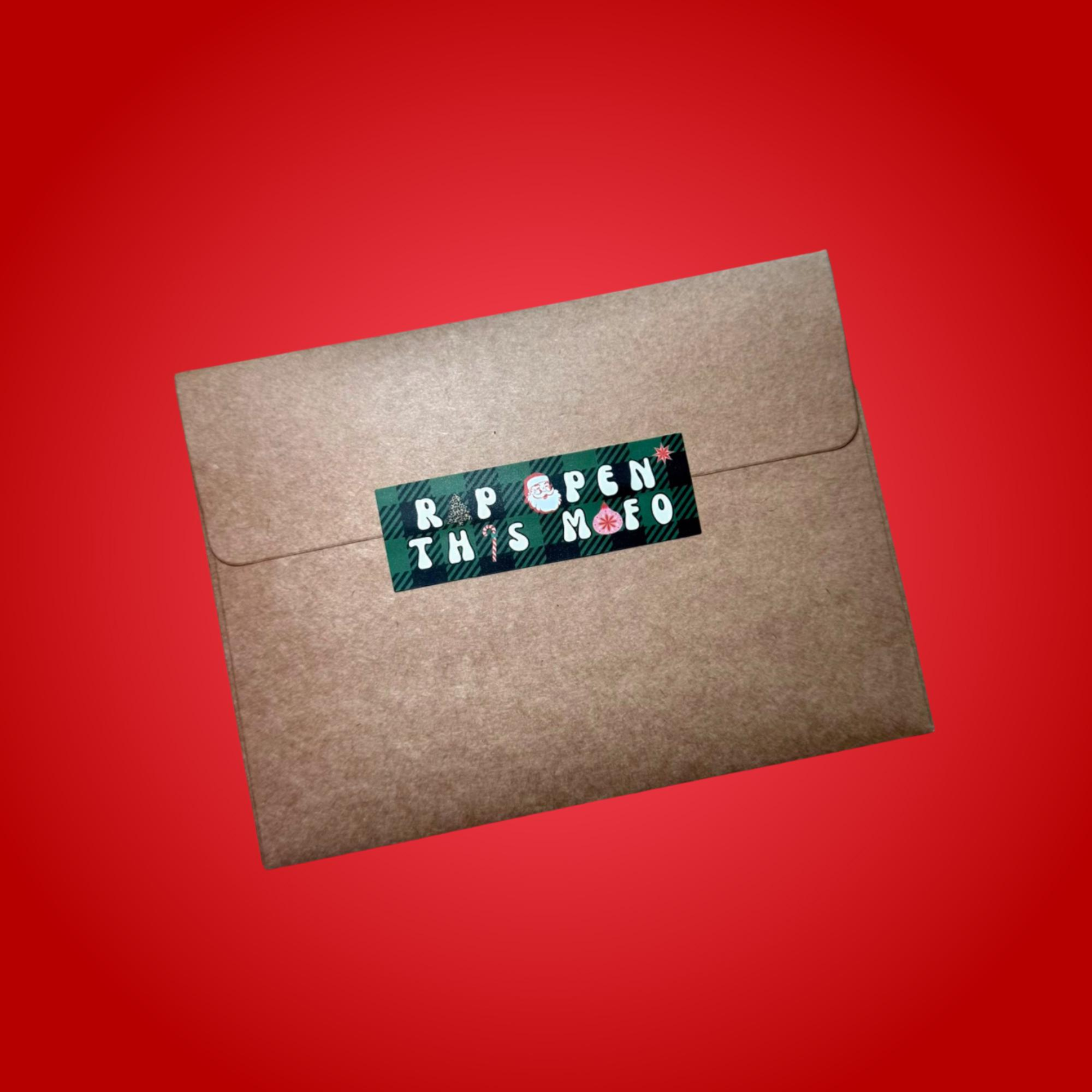 Modest Financial Investment Funny Christmas Card