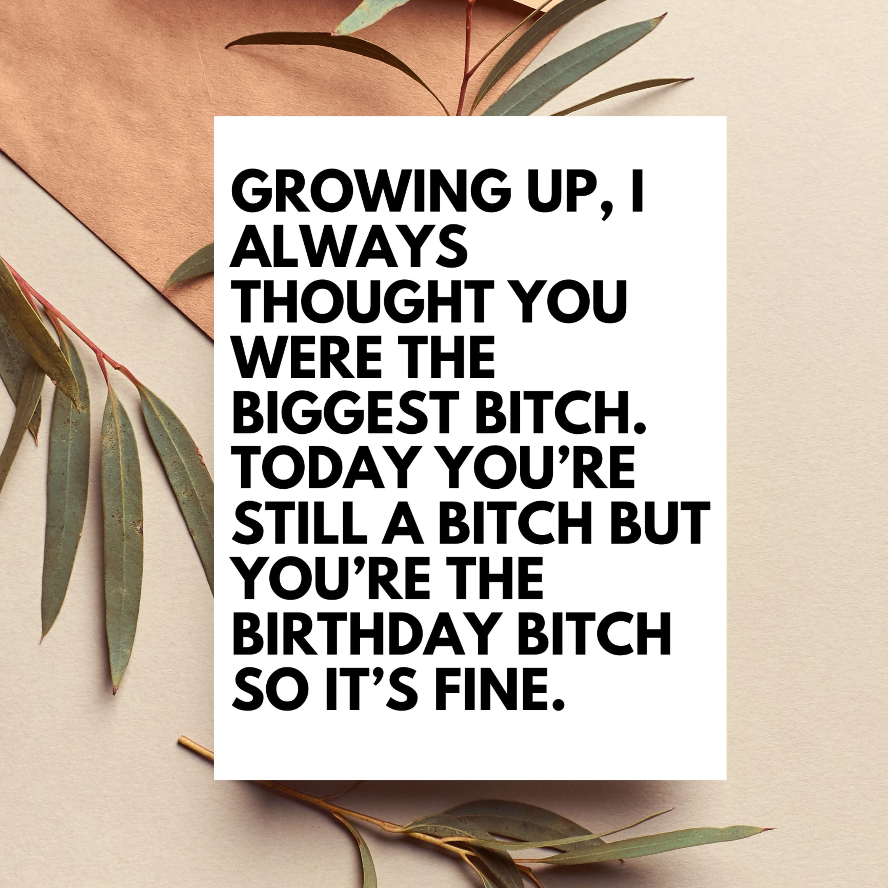 Funny Sister Birthday Card | Rude Sister Birthday Card | Snarky Adult Birthday Card