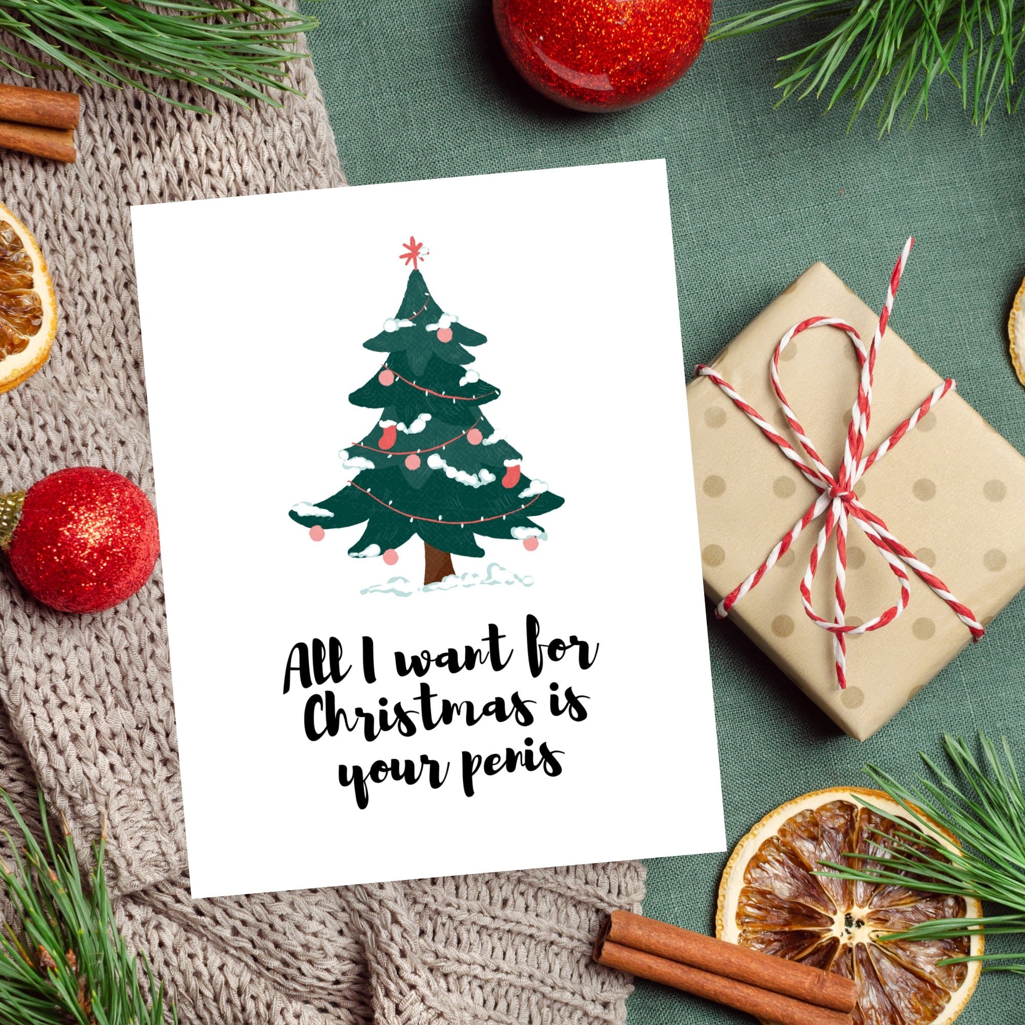 All I Want For Christmas Is Your Penis Card