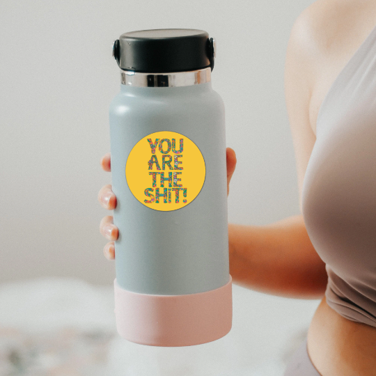You Are The Shit Sticker
