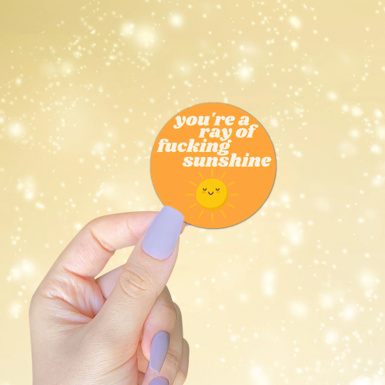 You're A Ray Of Fucking Sunshine Sticker