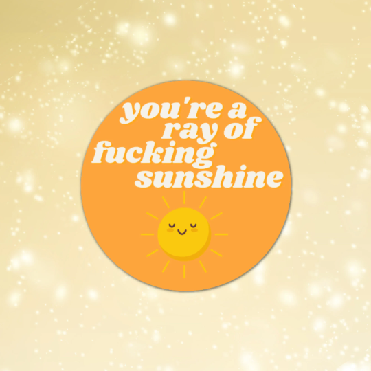 You're A Ray Of Fucking Sunshine Sticker